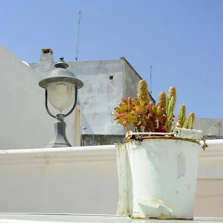 Guest house Luxury *